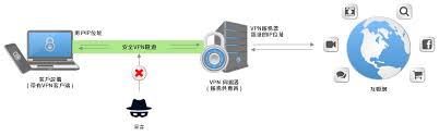 9000元宠物鸡被偷走,找到时已被拔毛准备下锅主人当场崩溃